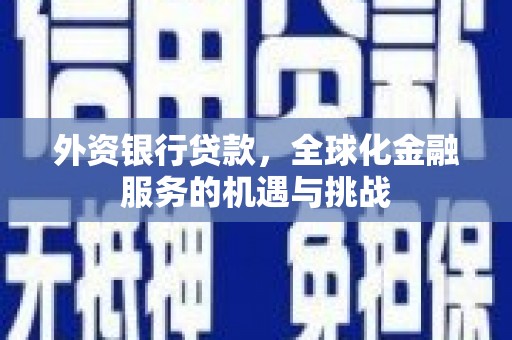 晋宁外资银行贷款，全球化金融服务的机遇与挑战