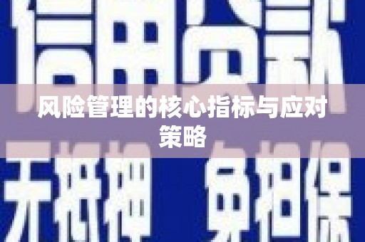 晋宁风险管理的核心指标与应对策略