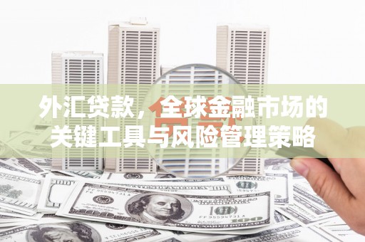晋宁外汇贷款，全球金融市场的关键工具与风险管理策略