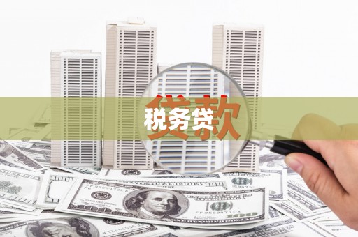 晋宁税务贷