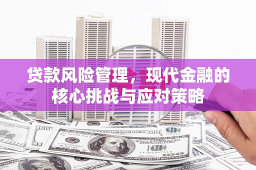 晋宁贷款风险管理，现代金融的核心挑战与应对策略