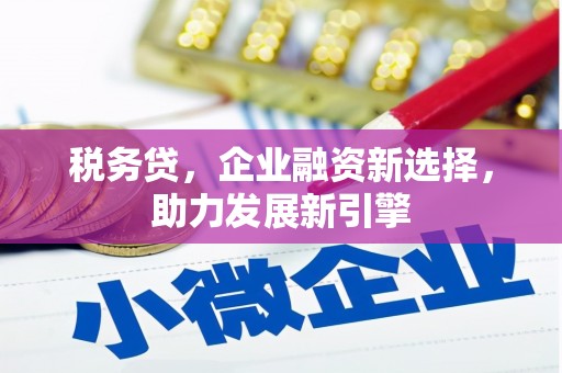 晋宁税务贷，企业融资新选择，助力发展新引擎