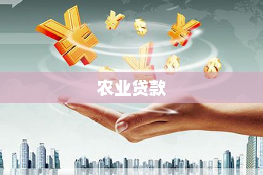 晋宁农业贷款