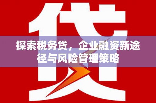 晋宁探索税务贷，企业融资新途径与风险管理策略