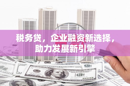 晋宁税务贷，企业融资新选择，助力发展新引擎