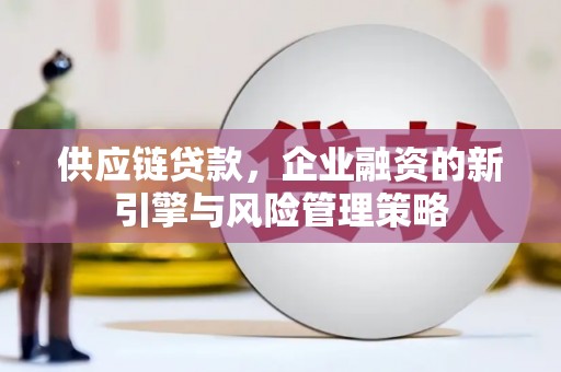 晋宁供应链贷款，企业融资的新引擎与风险管理策略