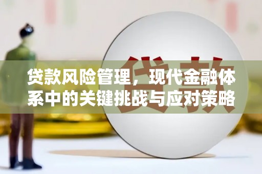 晋宁贷款风险管理，现代金融体系中的关键挑战与应对策略