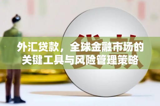 晋宁外汇贷款，全球金融市场的关键工具与风险管理策略