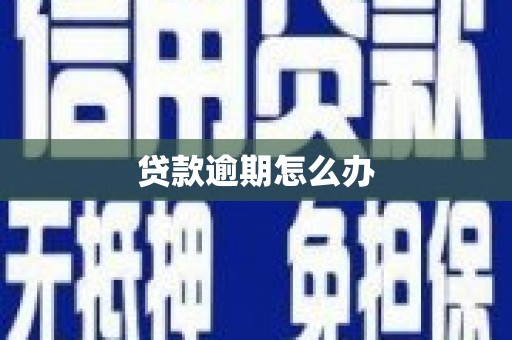 晋宁贷款逾期怎么办