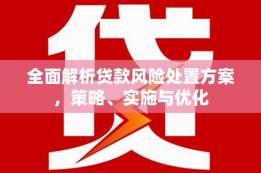 晋宁全面解析贷款风险处置方案，策略、实施与优化