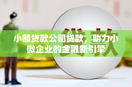晋宁小额贷款公司贷款，助力小微企业的金融新引擎