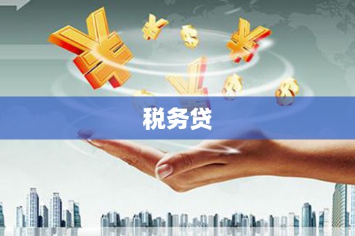 晋宁税务贷