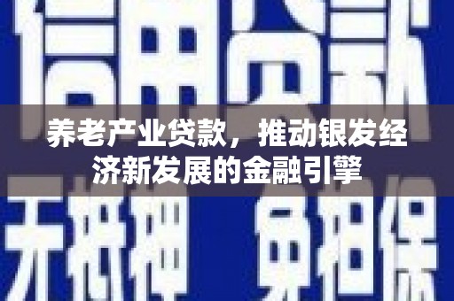 晋宁养老产业贷款，推动银发经济新发展的金融引擎