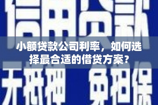 晋宁小额贷款公司利率，如何选择最合适的借贷方案？