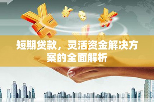 晋宁短期贷款，灵活资金解决方案的全面解析
