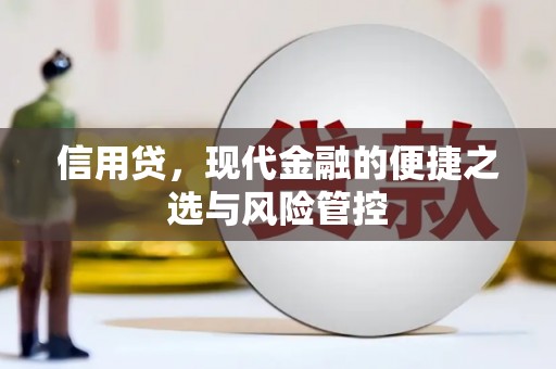 晋宁信用贷，现代金融的便捷之选与风险管控