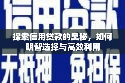 晋宁探索信用贷款的奥秘，如何明智选择与高效利用