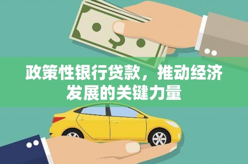 晋宁政策性银行贷款，推动经济发展的关键力量