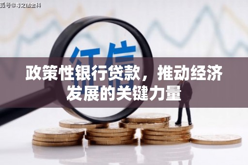 晋宁政策性银行贷款，推动经济发展的关键力量