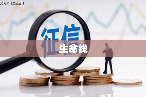 晋宁生命线