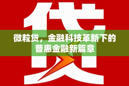 晋宁微粒贷，金融科技革新下的普惠金融新篇章