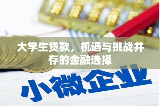 晋宁大学生贷款，机遇与挑战并存的金融选择