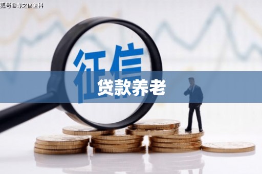 晋宁贷款养老