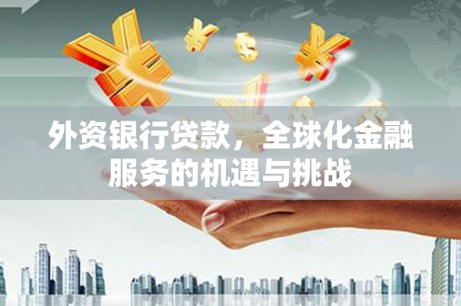 晋宁外资银行贷款，全球化金融服务的机遇与挑战