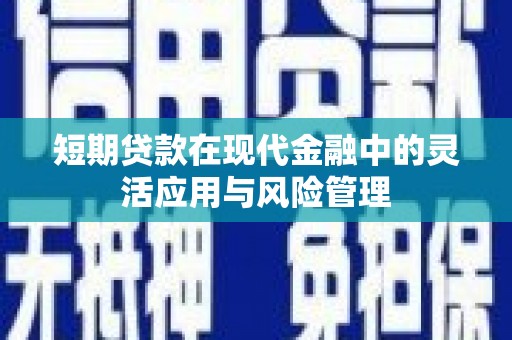 晋宁短期贷款在现代金融中的灵活应用与风险管理