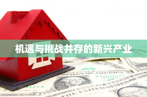 晋宁机遇与挑战并存的新兴产业