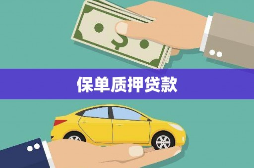 晋宁保单质押贷款