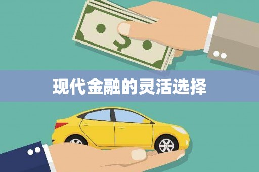 晋宁现代金融的灵活选择